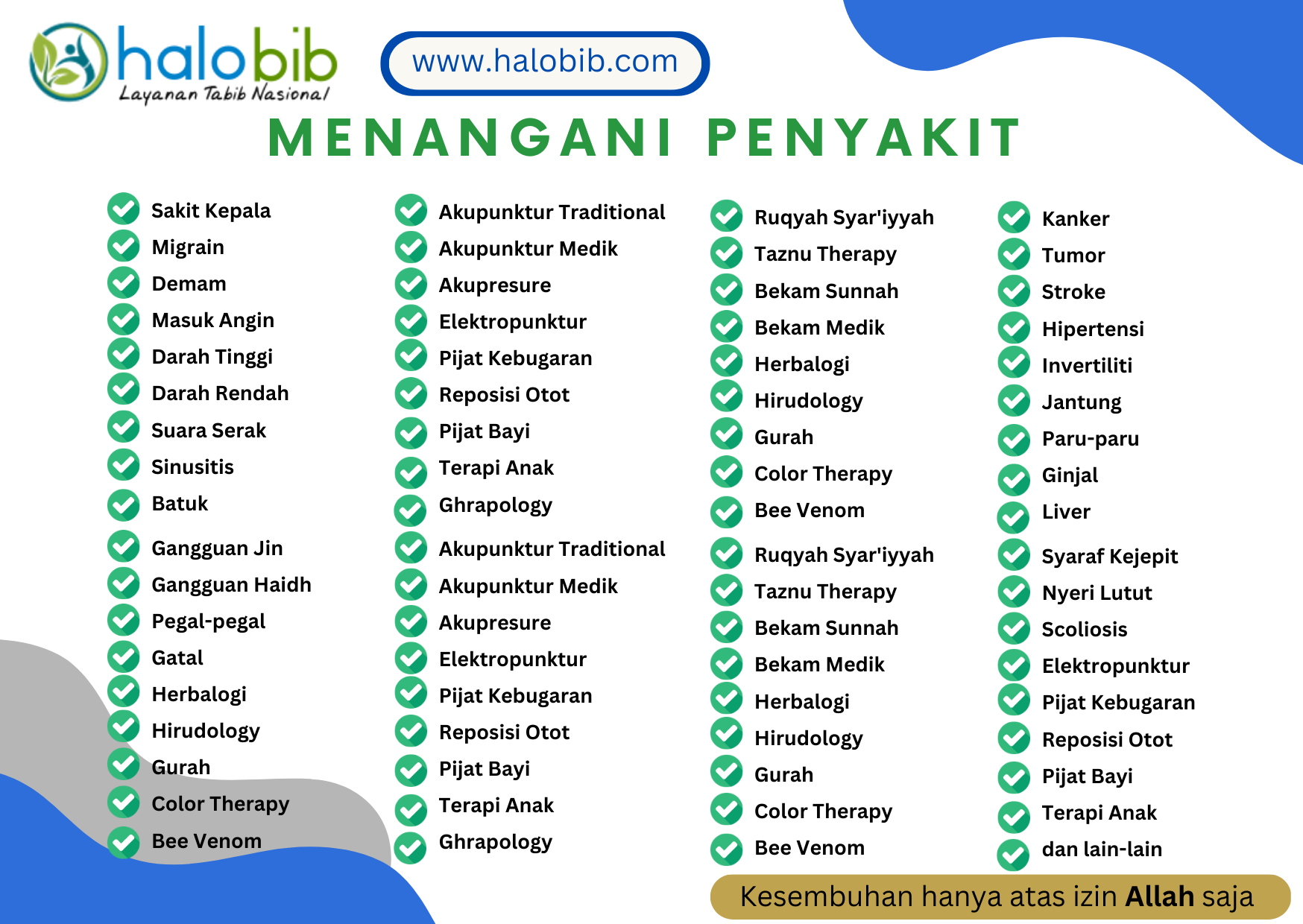 Thabib Halobib sedang melayani